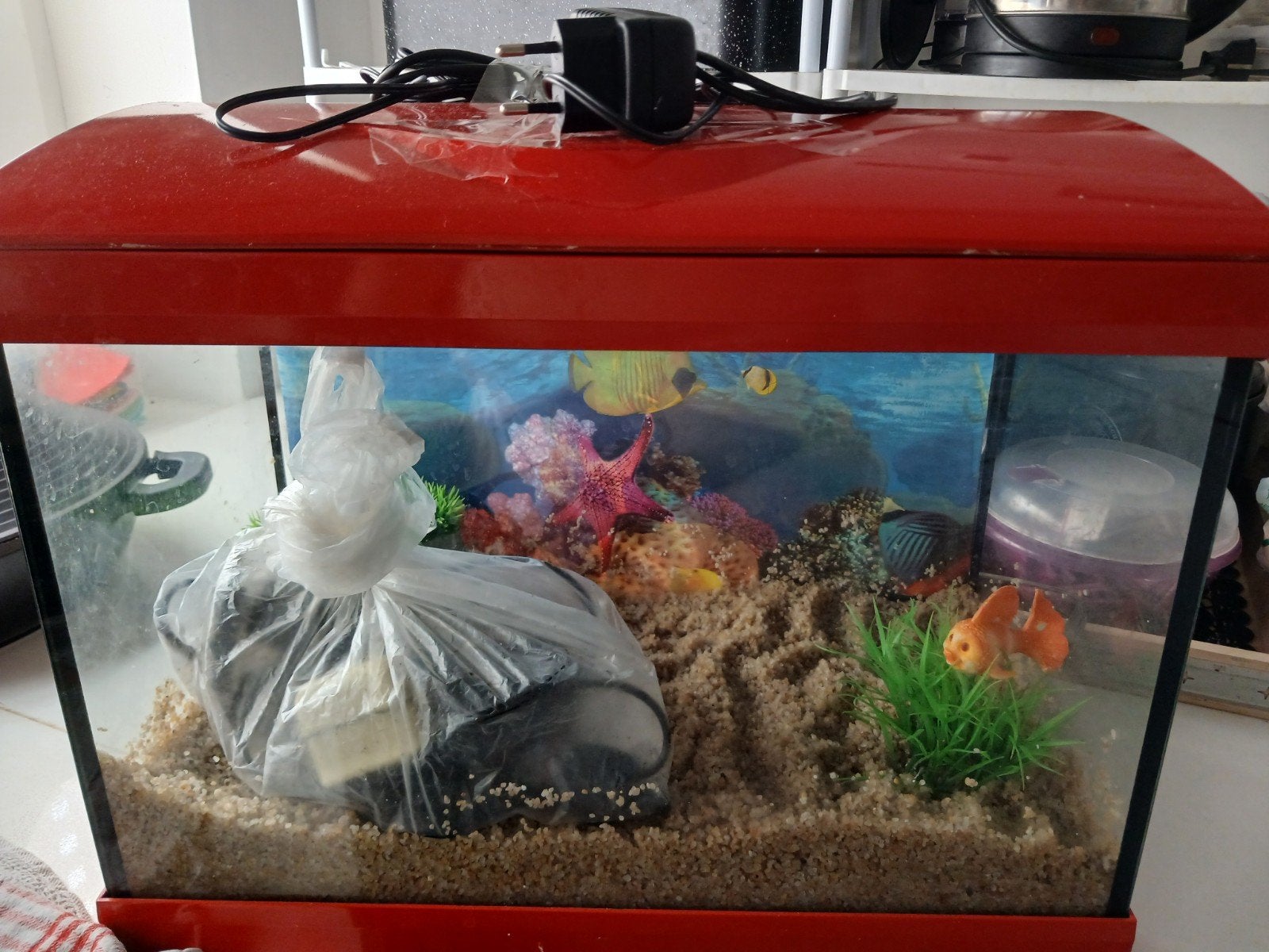 Complete aqarium, Dieren en Toebehoren, Vissen | Aquaria en Toebehoren, Gebruikt, Overige typen, Inclusief toebehoren, Pomp, Verwarming