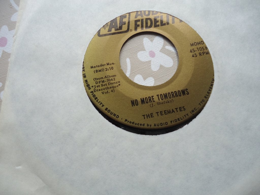 7" The TEEMATES - No more tomorrows, Cd's en Dvd's, Vinyl Singles, Verzenden, Single
