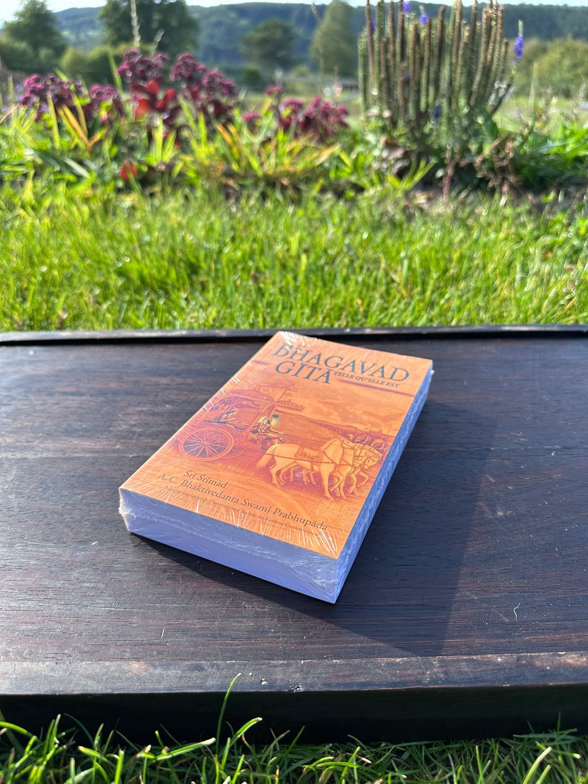 La Bhagavad Gita, Nieuw, Ophalen of Verzenden, Spiritualiteit algemeen, Verhaal of Roman