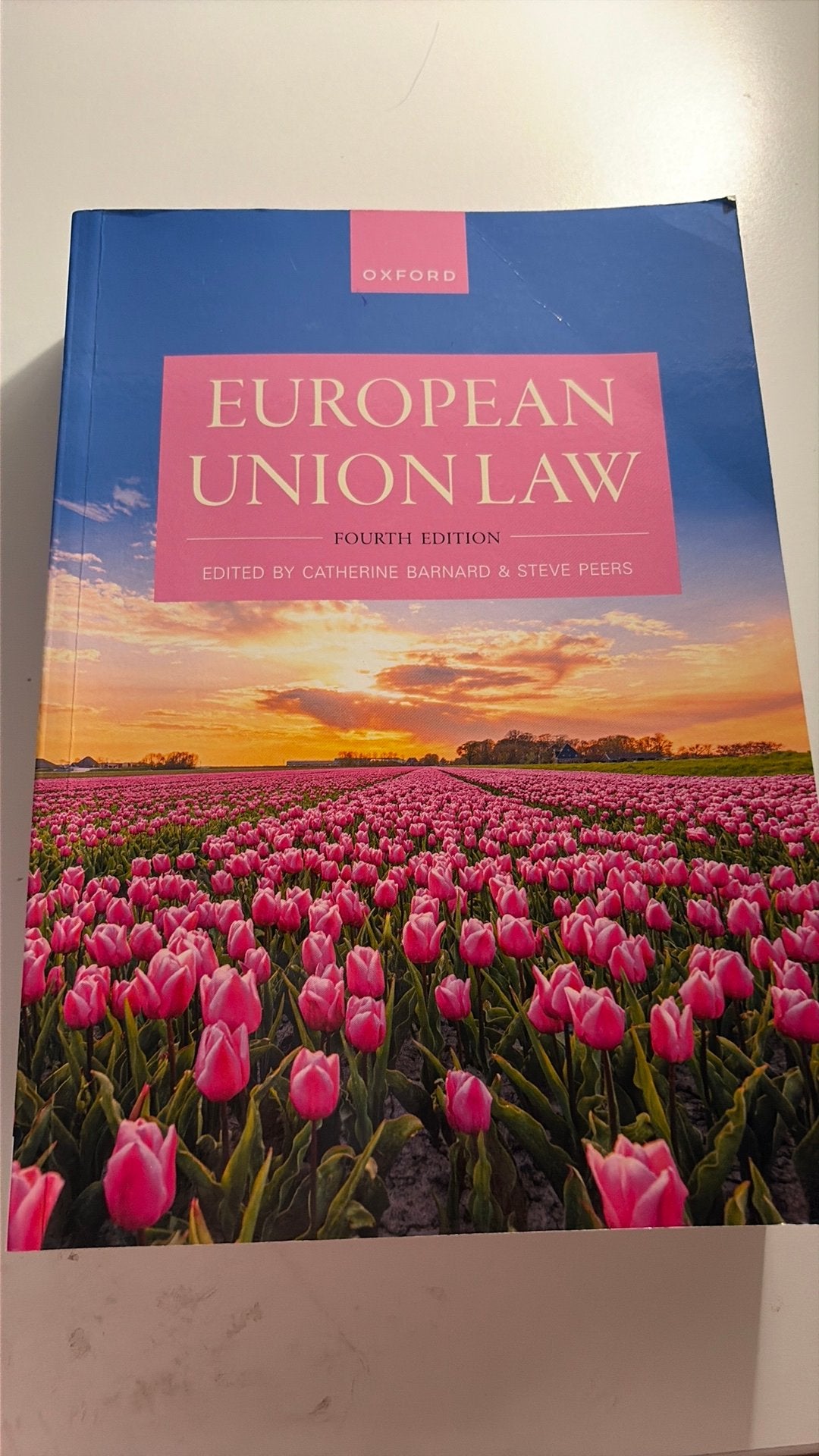 European Union Law, Ophalen of Verzenden, Zo goed als nieuw