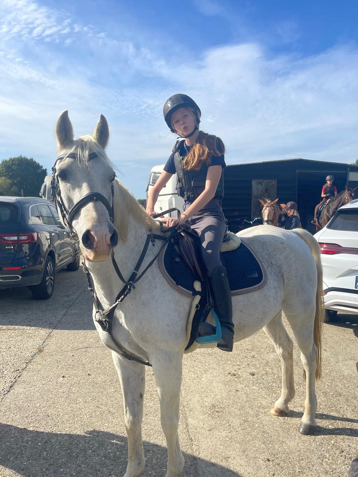 D-Pony Milton - Brave merrie, Dieren en Toebehoren, Merrie, Gechipt, 11 jaar of ouder