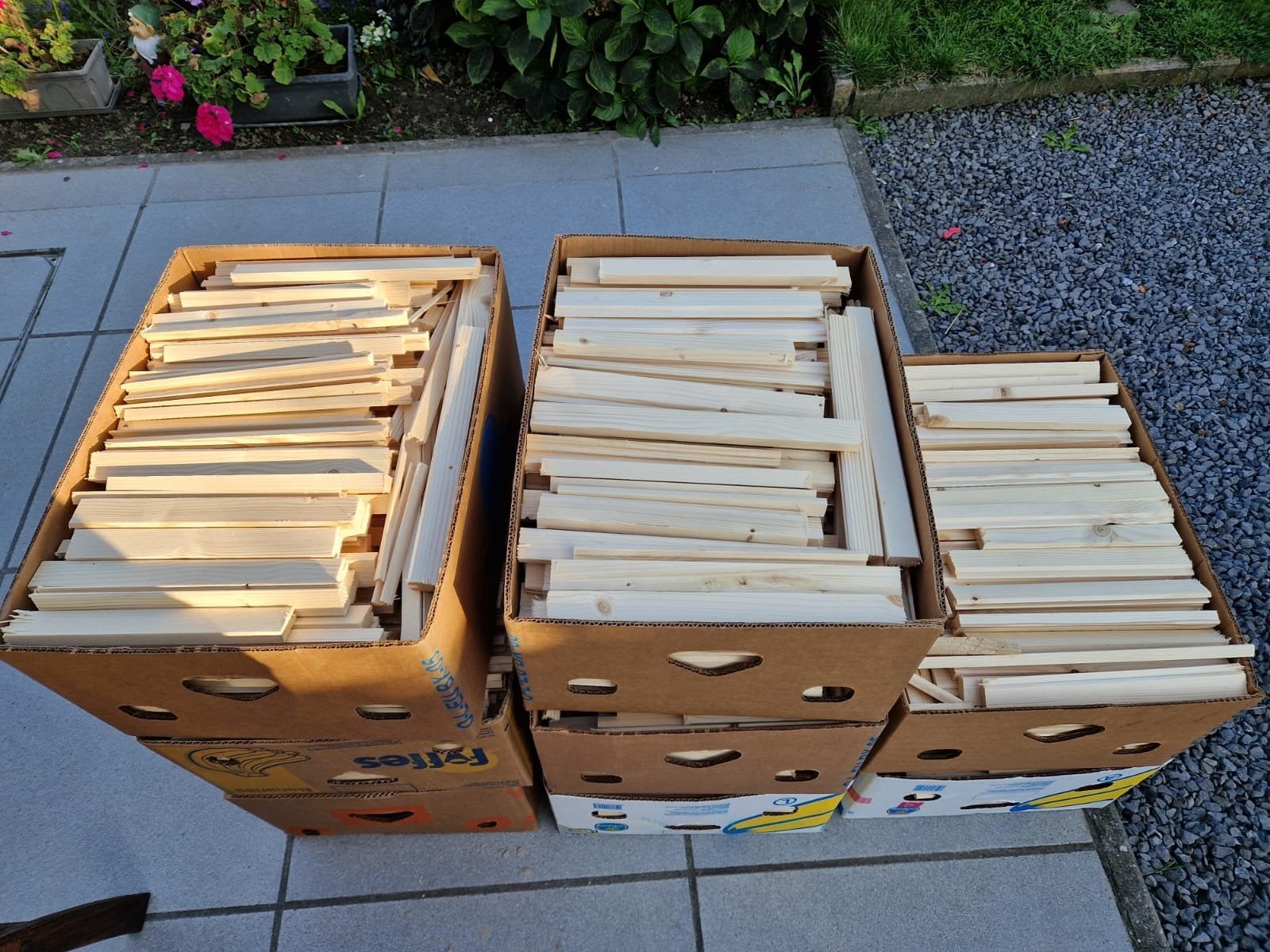 Aanmaakhout te koop, Enlèvement, Neuf