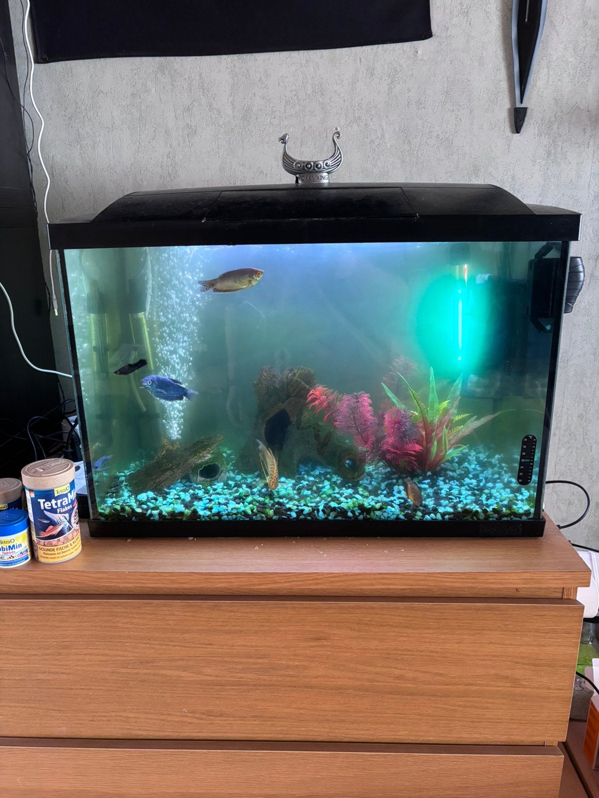 Aquarium 60br, Dieren en Toebehoren, Ophalen, Zo goed als nieuw, Filter