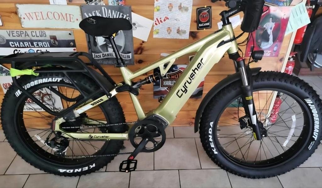 Cyrusher Rover 52v20A ((avec Deuxième batterie 52v20A)), Stabilisateurs, Comme neuf, Enlèvement, Frein à disque