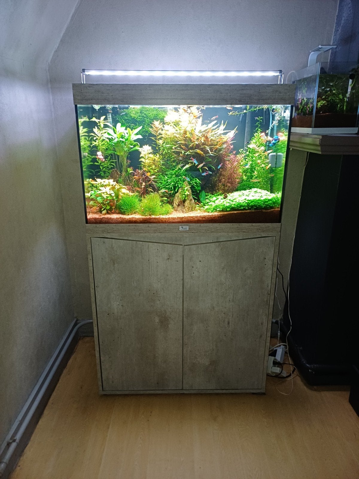 Aquatlantis aquarium met inhoud, Dieren en Toebehoren, Ophalen, Aquatlantis, Inclusief toebehoren, Gevuld zoetwateraquarium