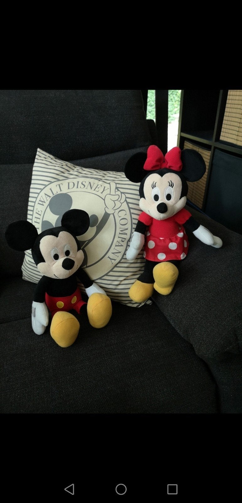 knuffels Mickey & Minnie Mouse, Ophalen