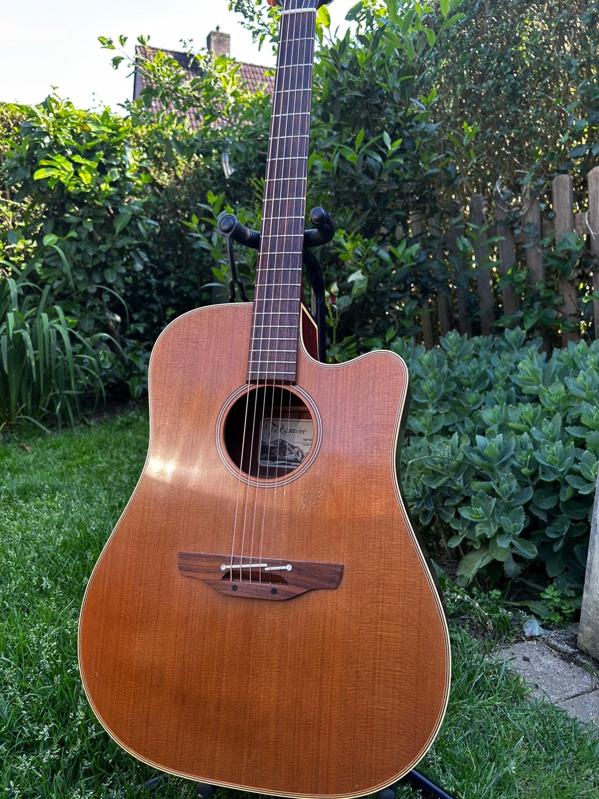 Takamine EAN 10 C, Muziek en Instrumenten, Snaarinstrumenten | Gitaren | Akoestisch, Ophalen, Zo goed als nieuw