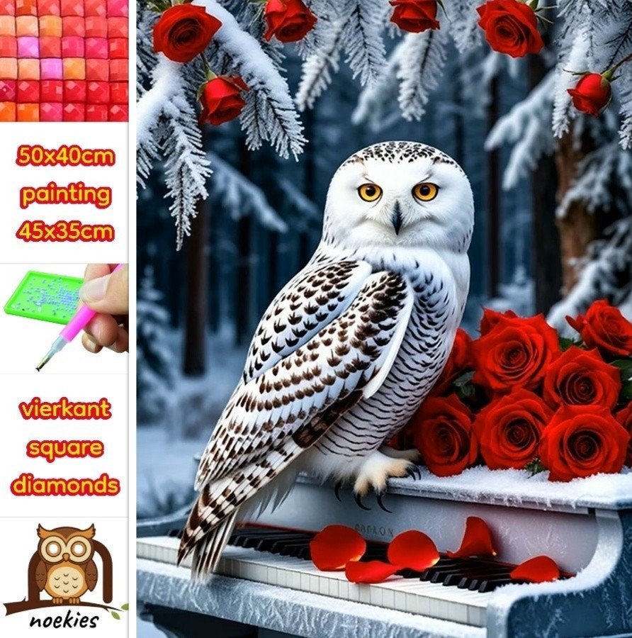 50x40cm Diamond Painting Uil met rozen (vierkant) nr34, Verzenden, Nieuw, Meerkleurig, Overige materialen