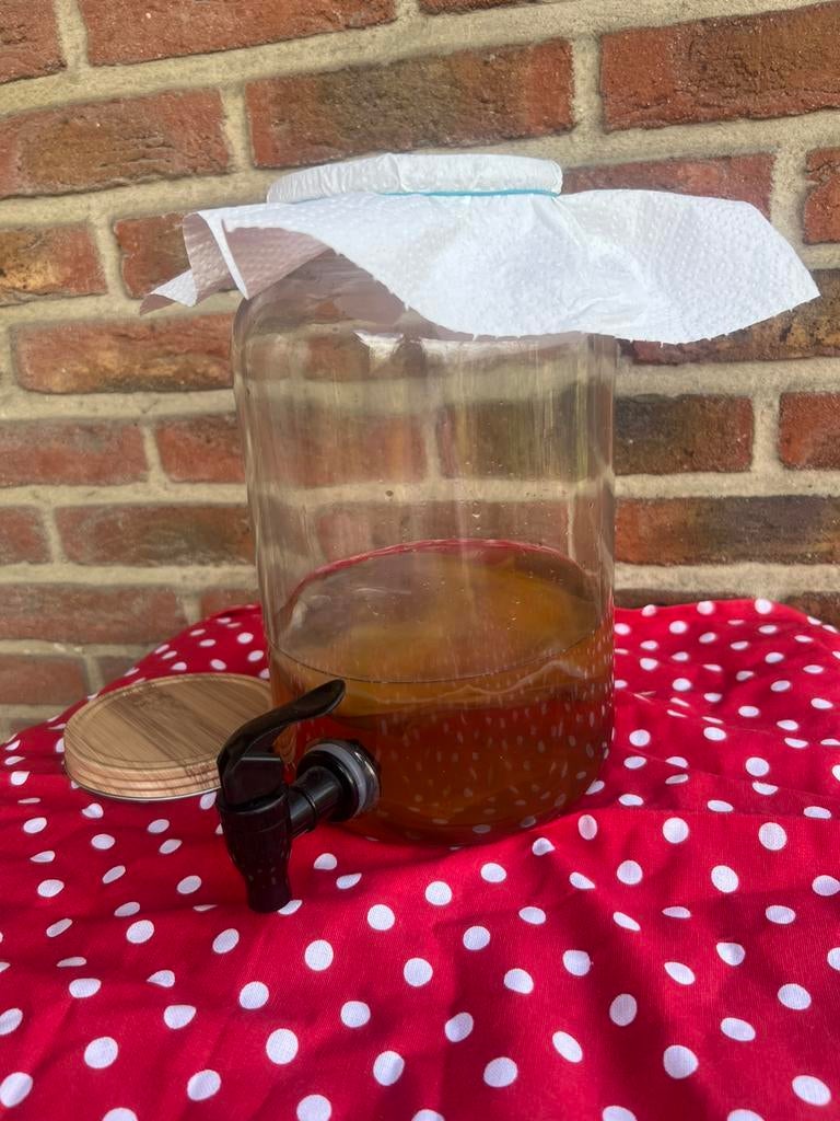 De SCOBY + startvloeistof, Ophalen