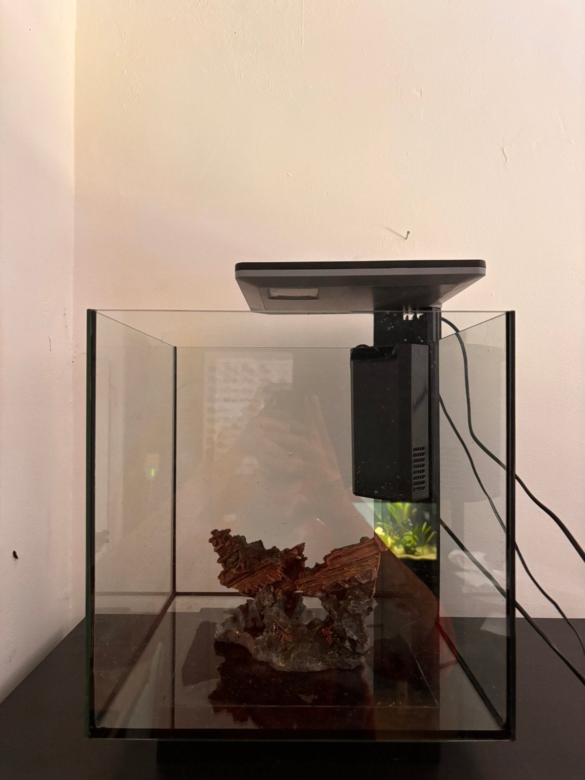 SuperFish Aquarium 30L – Inclusief Verlichting & Decoratie, Decoratie, Comme neuf, Enlèvement, Superfish