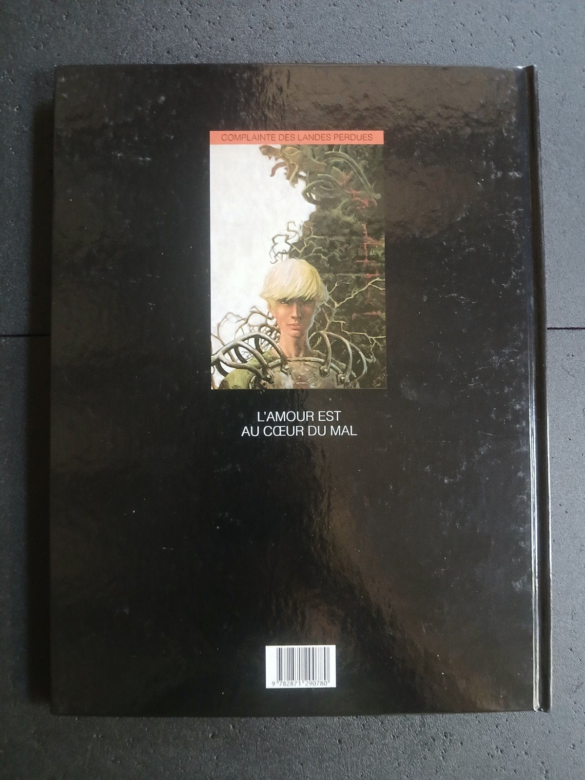 Bd complainte des landes perdues 2, Livres, Enlèvement ou Envoi
