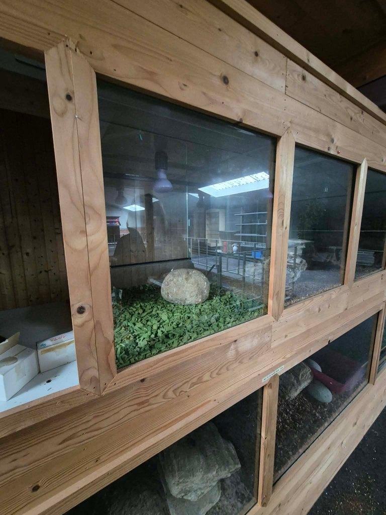 terrarium, Dieren en Toebehoren, Ophalen, Gebruikt, Terrarium of Paludarium
