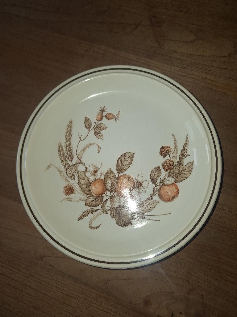 Assiettes Royal Tudor, Enlèvement