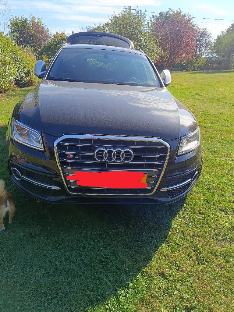 Audi SQ5, Autos, Euro 5, Achat, Diesel, Particulier