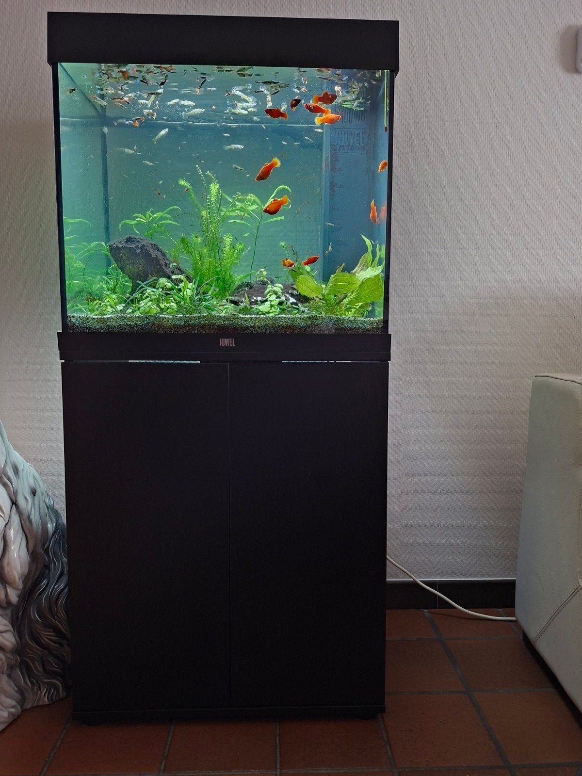 aquarium juwel met onderkast , vissen en automatische voeder, Ophalen, Juwel