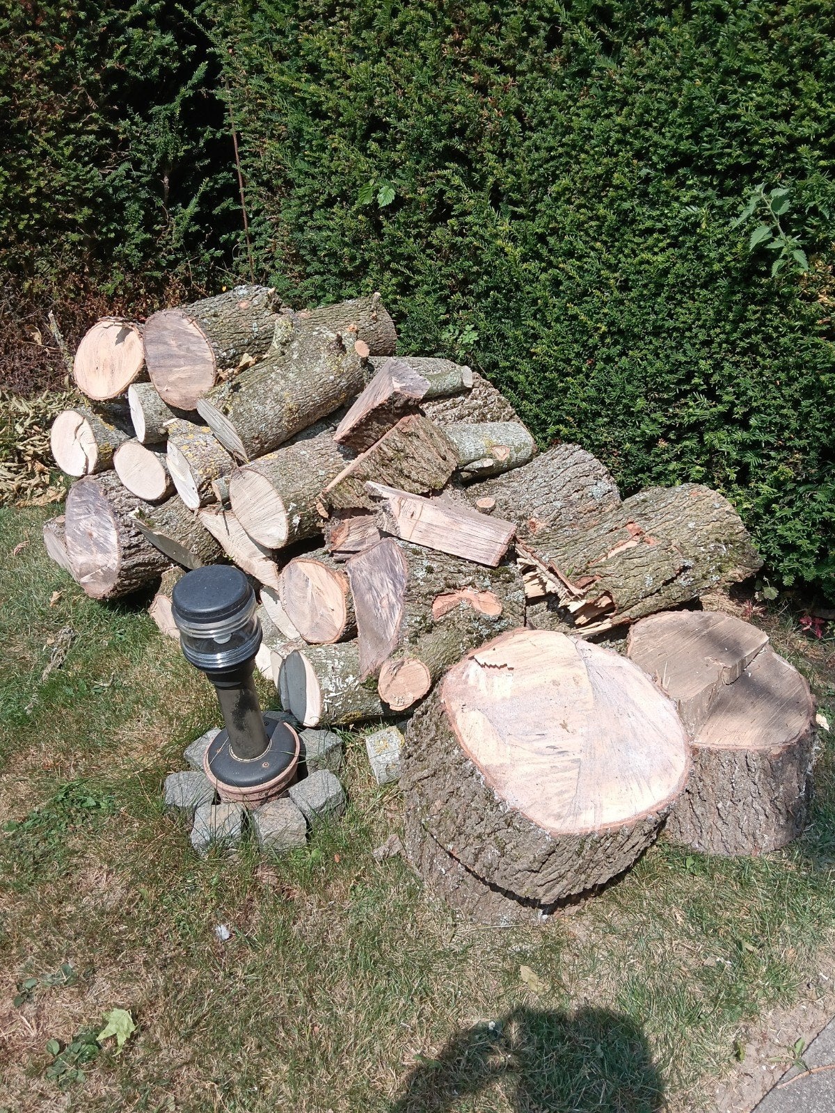 hout om te doneren (gratis):, Tuin en Terras, Brandhout