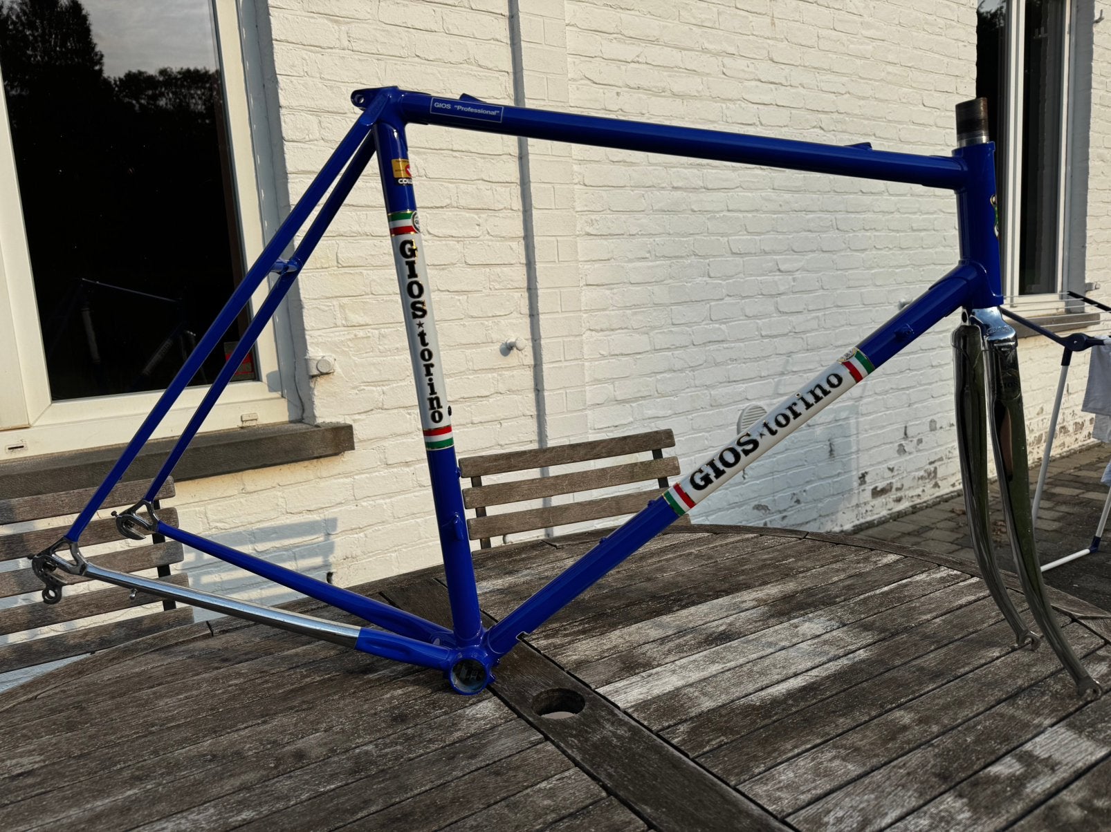 Gios Professional, Fietsen en Brommers, 55 tot 59 cm, Ophalen, Velgrem, Jaren '60 of nieuwer