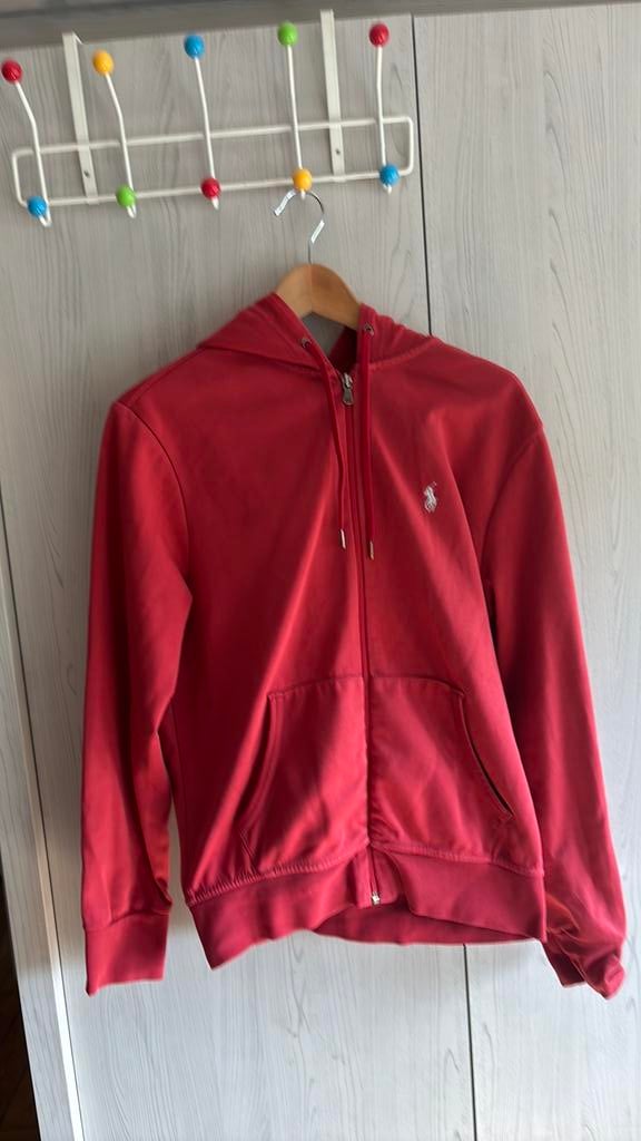 Polo ralph lauren trui (mannen), Ophalen, Zo goed als nieuw, Maat 36 (S)