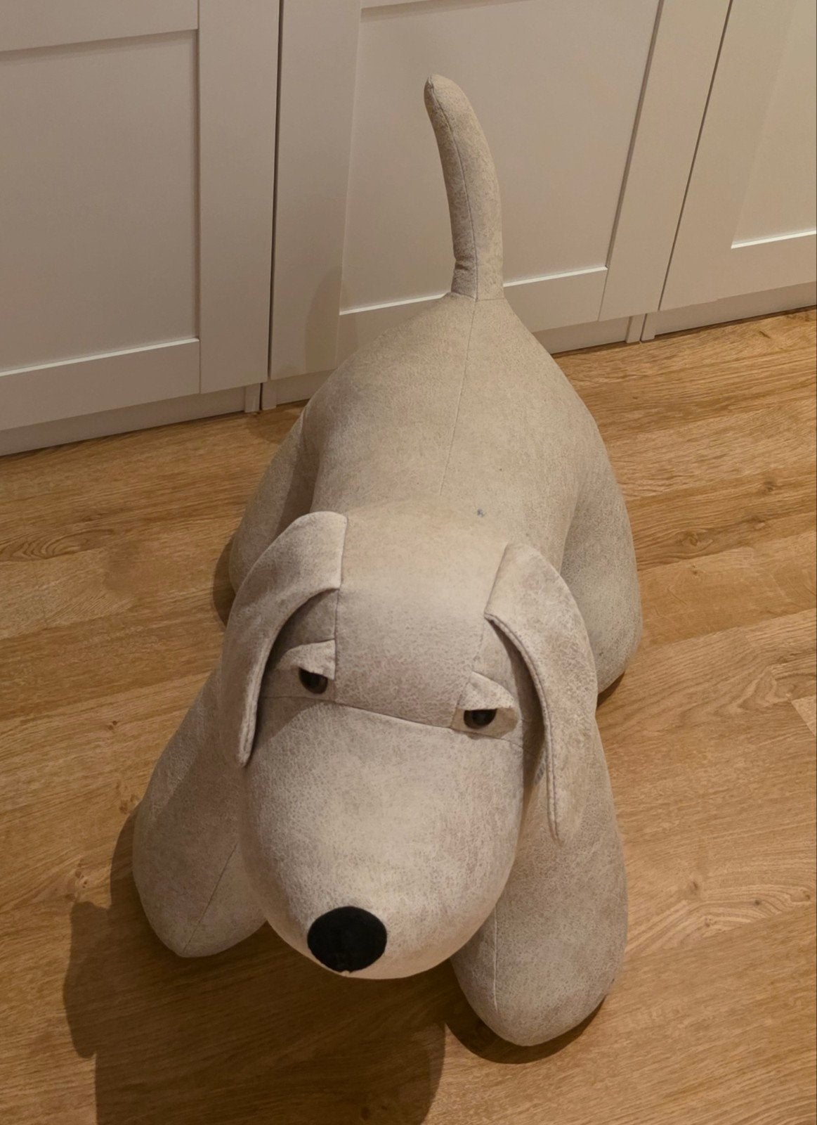 J-Line hond 5,8 kg
Perfecte staat, Huis en Inrichting, Woonaccessoires | Deurstoppers, Ophalen