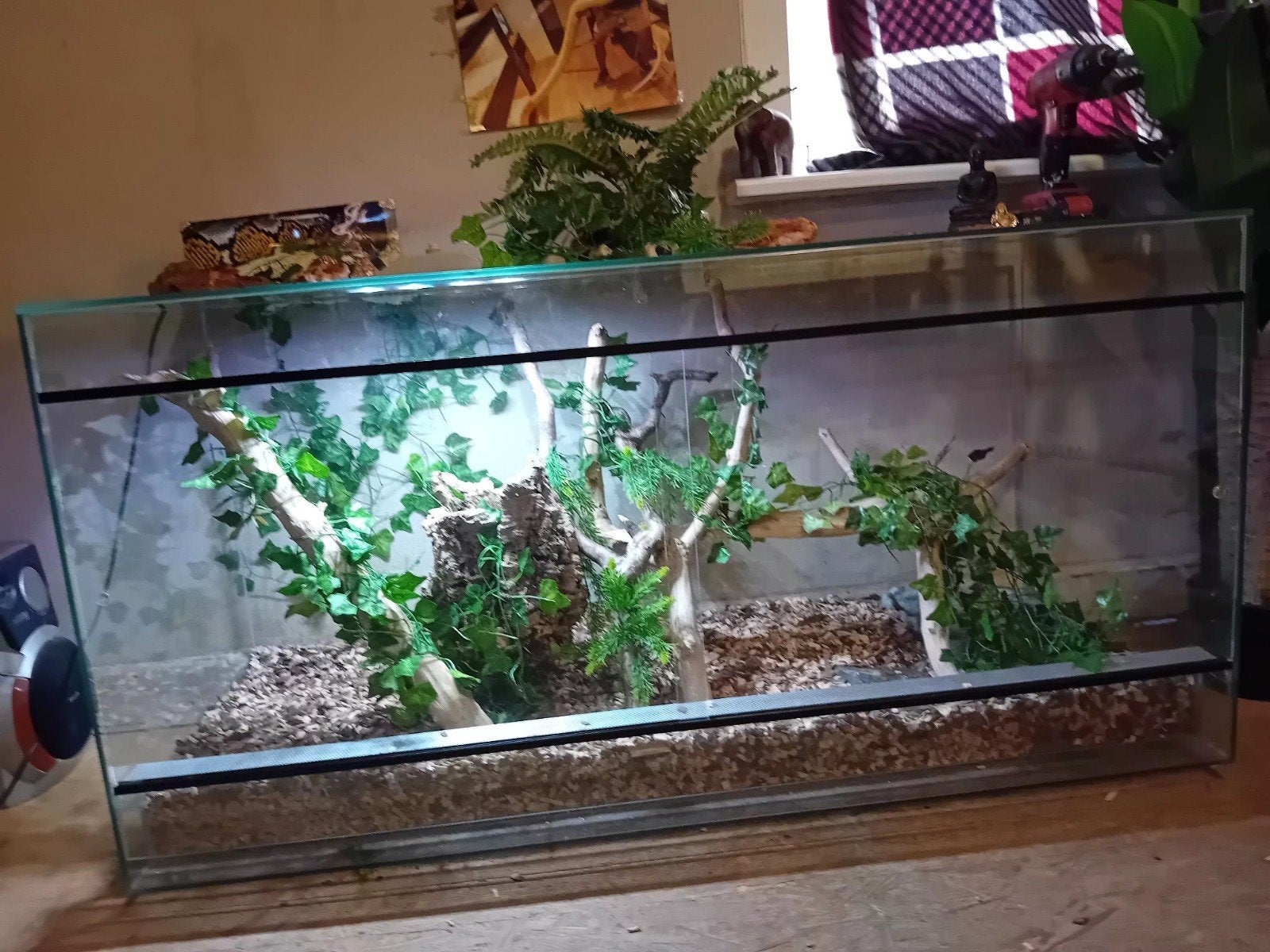 terrarium kant en klaar, Dieren en Toebehoren, Reptielen en Amfibieën | Toebehoren, Ophalen, Zo goed als nieuw, Terrarium of Paludarium