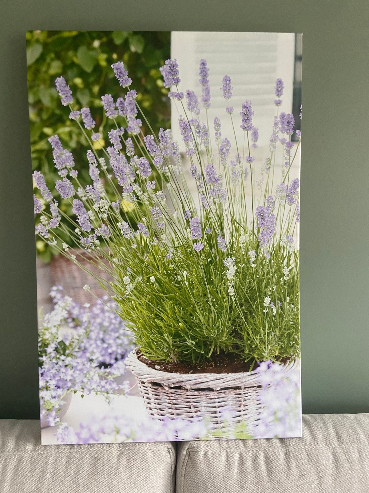 Cadre plante de lavande, Antiquités & Art, Enlèvement