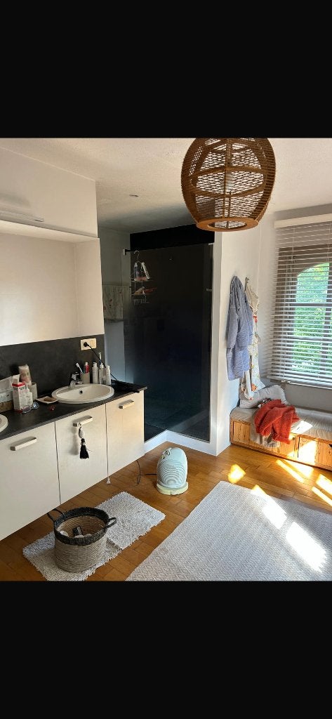 120L X 195h doucheschermen, Ophalen, Douche