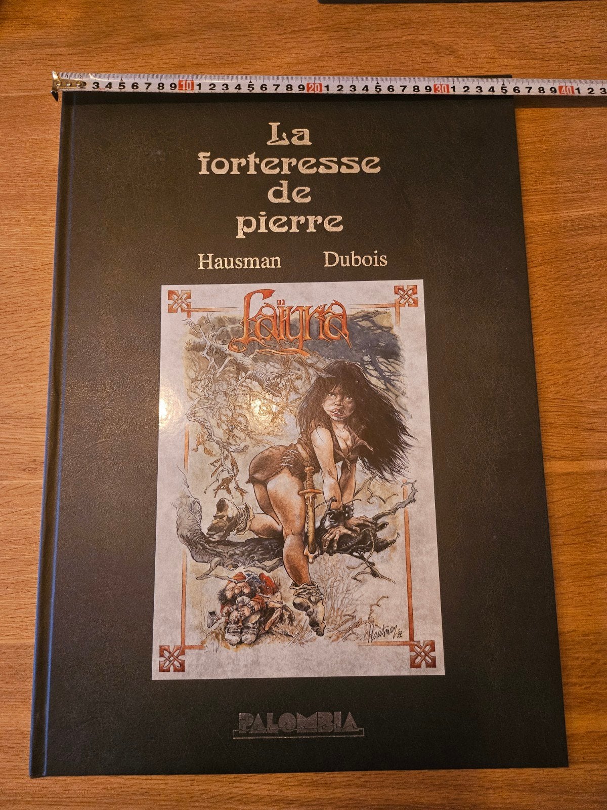édition de luxe LA FORTRESSE DE PIERRE Hausman/Dubois, Une BD, Enlèvement, Comme neuf, René Hausman