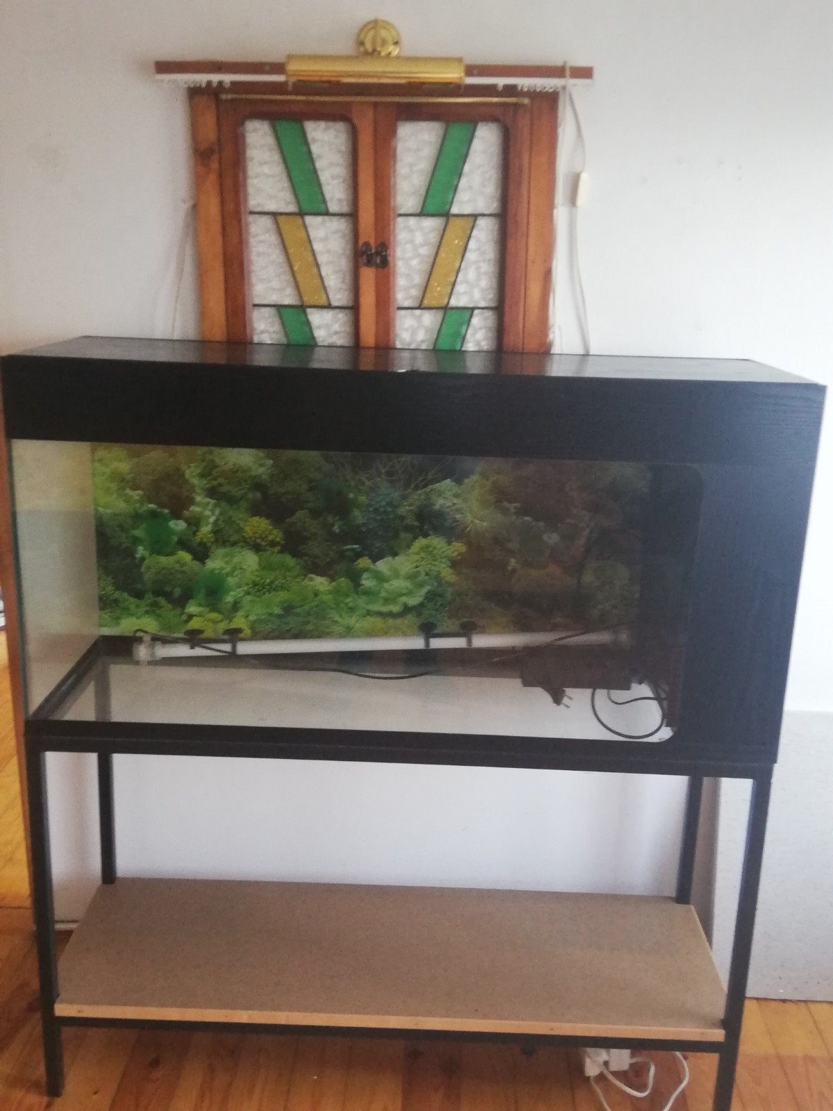 Aquarium, Animaux & Accessoires, Enlèvement
