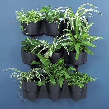 Verticale plantenwand / kruidenwand Prosperplast Cascade, Tuin en Terras, Ophalen
