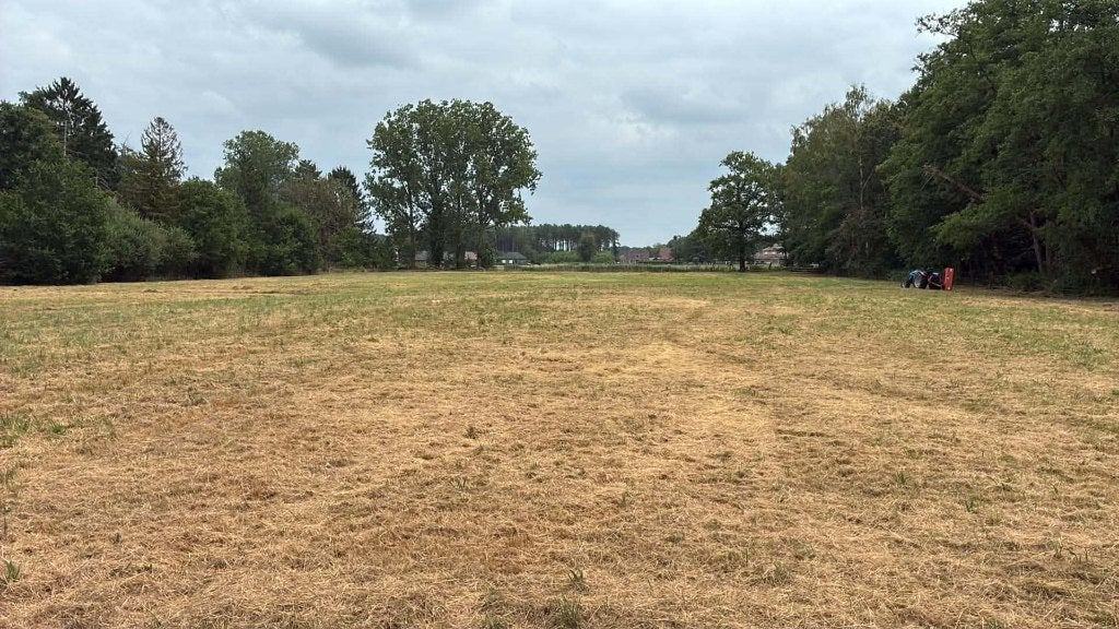 weide te koop, Immo, Wechelderzande, 1500 m² ou plus