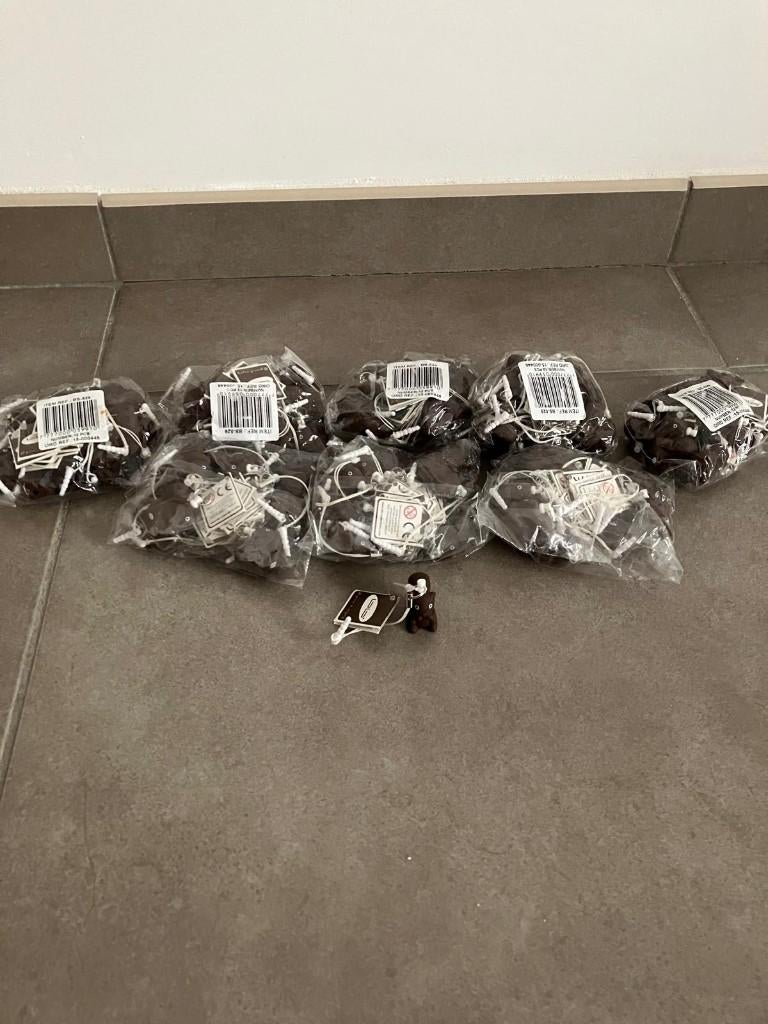 12 sleutelhangers eekhoorn bruin klein, Enlèvement ou Envoi, Neuf