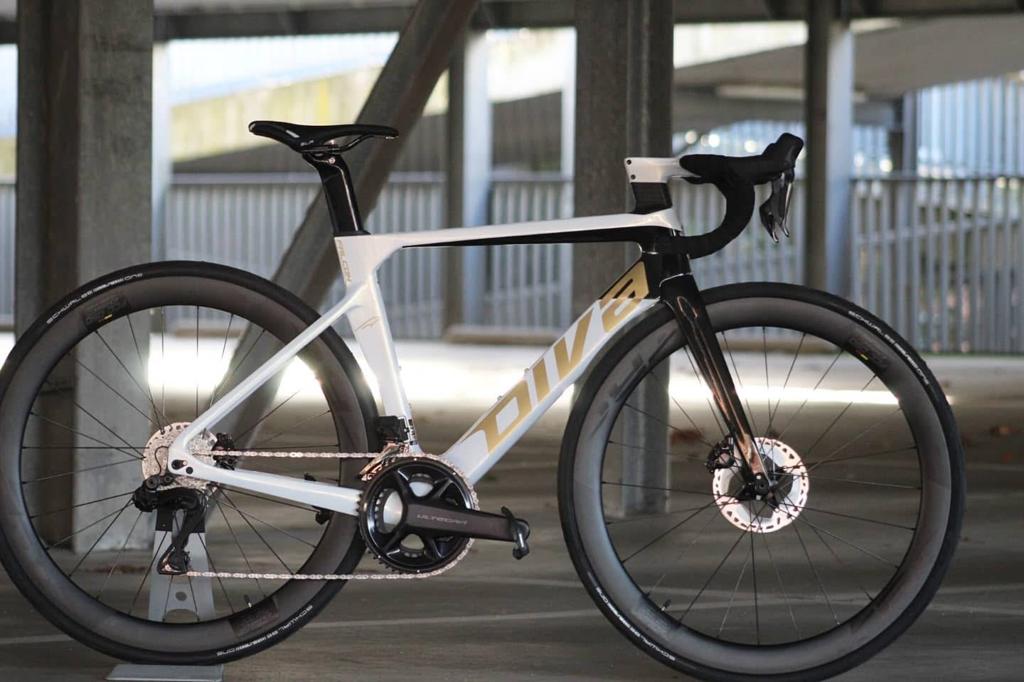 Thompson Diva, Vélos & Vélomoteurs, Autres marques, Comme neuf, Enlèvement, 28 pouces