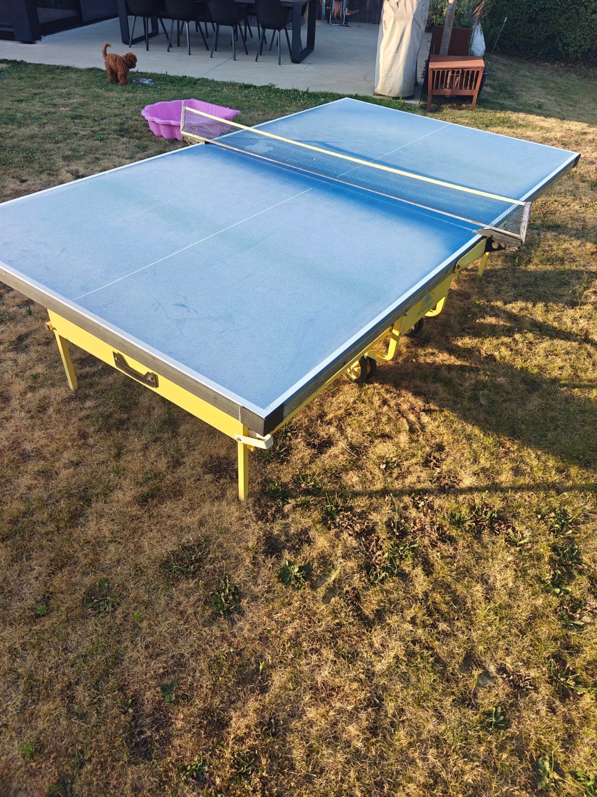 Pingpong tafel Sven sport, Sport en Fitness, Tafeltennis, Ophalen