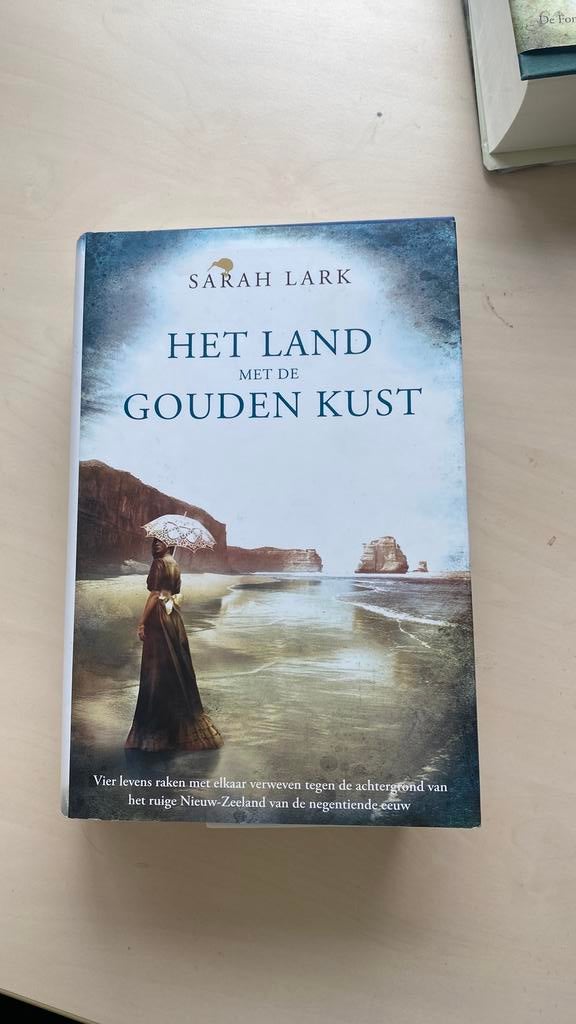 Het land met de gouden kust - Sarah Lark, Enlèvement