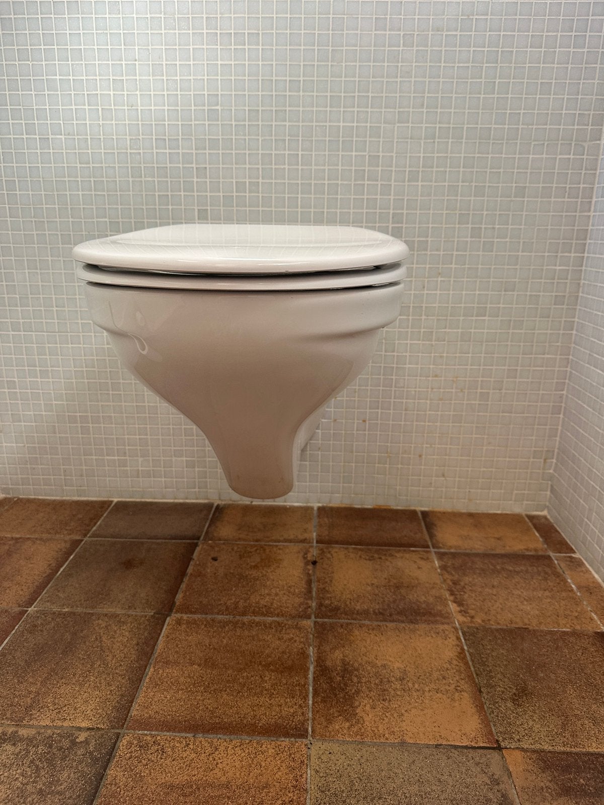 Hangtoilet, Doe-het-zelf en Bouw, Sanitair, Ophalen of Verzenden, Gebruikt