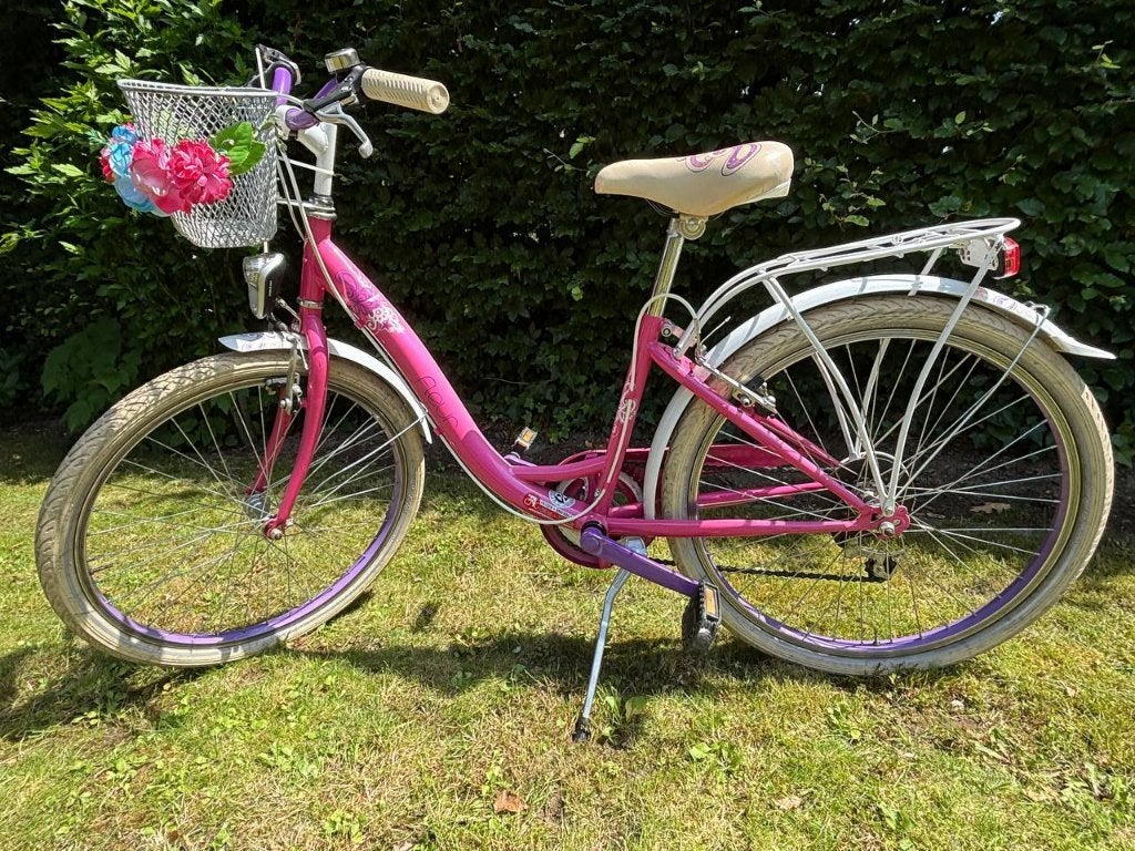 Meisjesfiets, Ophalen, Velgrem, Versnellingen, Fleur