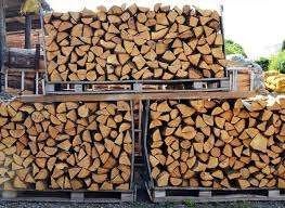 Bois de chauffage, Tuin en Terras, Brandhout, Minder dan 3 m³, Ophalen of Verzenden, Beukenhout, Blokken