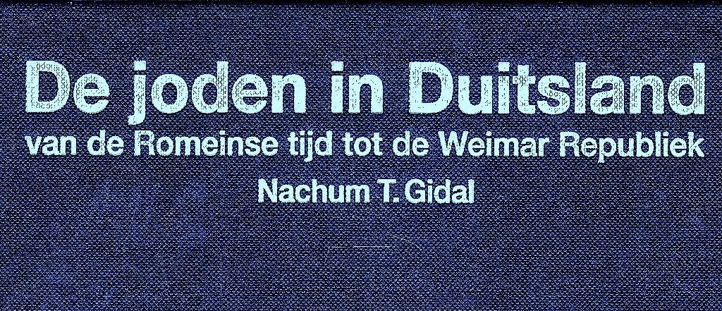 De joden in Duitsland. Romeinse tijd tot de Weimar Republiek, Ophalen of Verzenden, Zo goed als nieuw, Nachum T. Gidal
