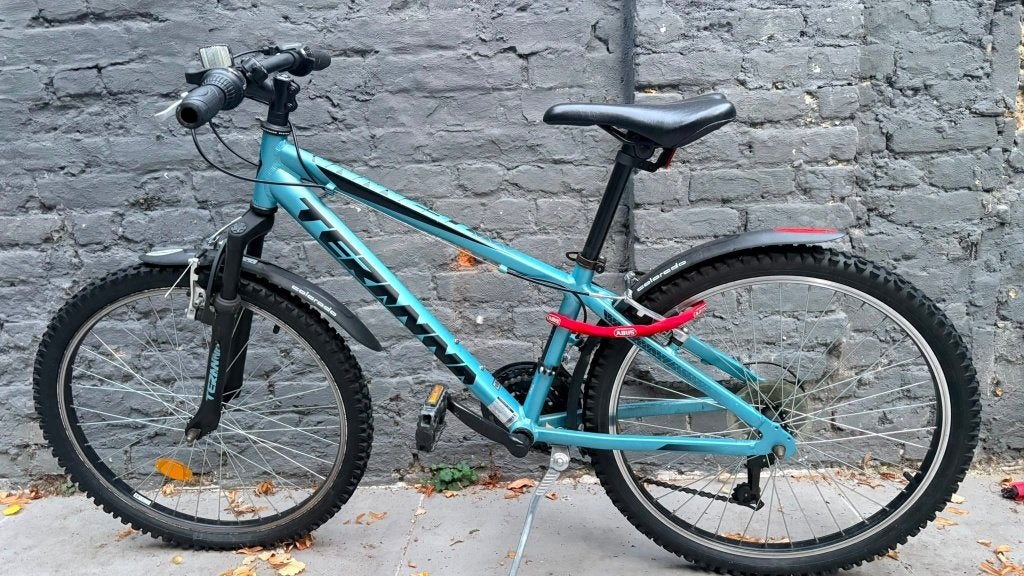 Kinderfiets 24'', Ophalen, Teranna, 24 inch, Velgrem