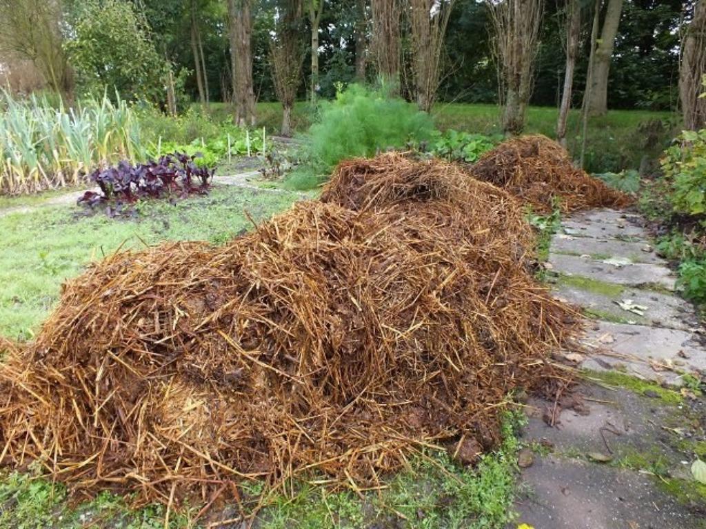 Fumier de cheval traité super biologique gratuit, Enlèvement, Fumier