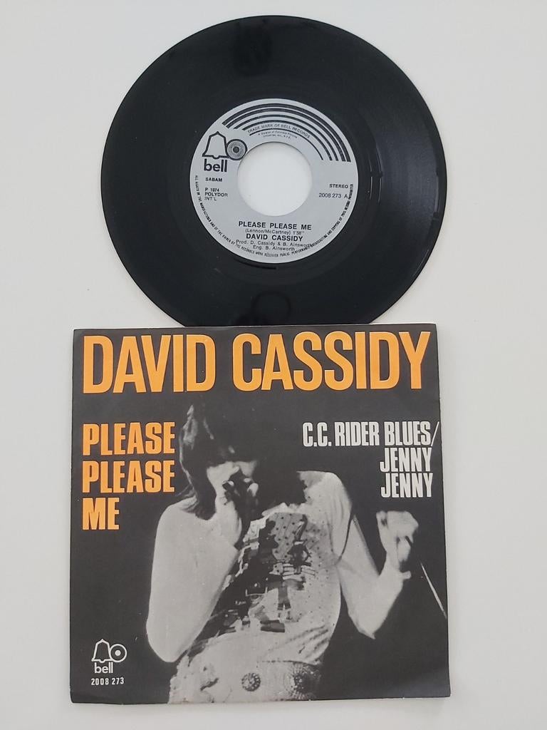 David Cassidy  - please please me, Enlèvement ou Envoi, Neuf, dans son emballage, Autres formats