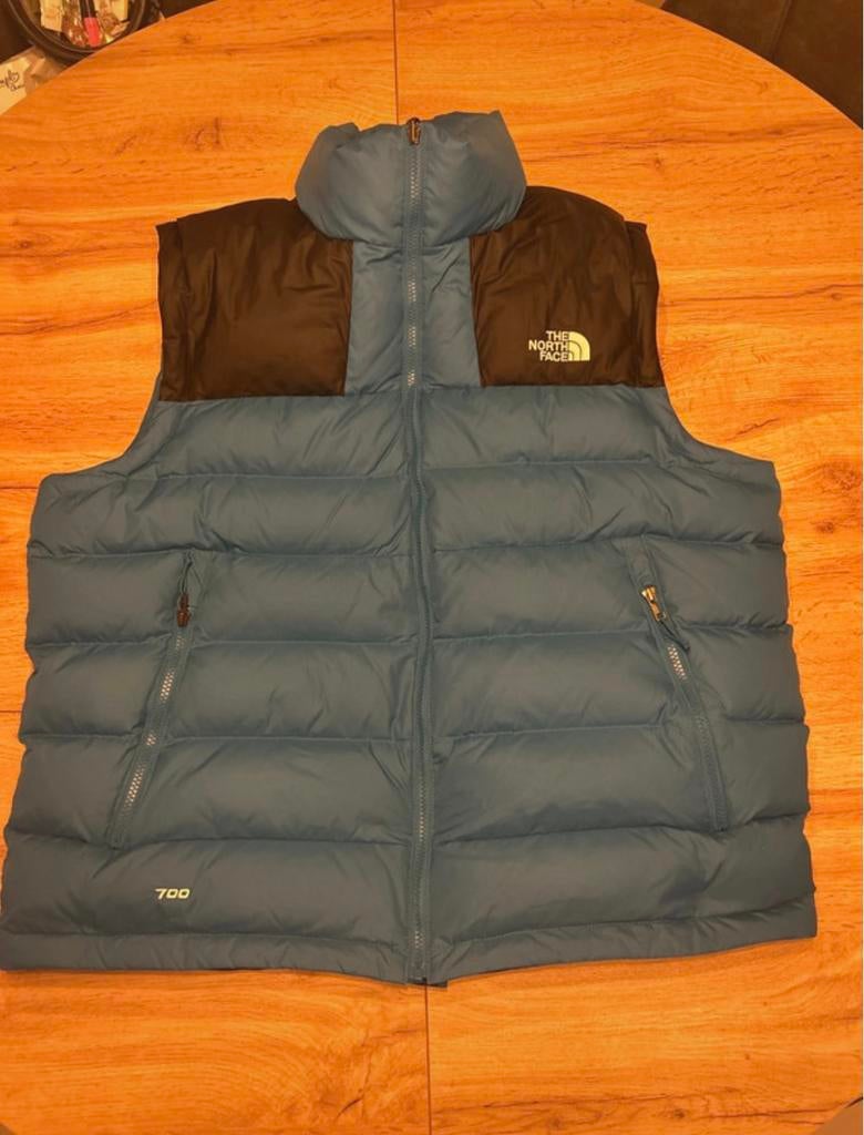 Veste the north face, Enlèvement ou Envoi, Neuf, Taille 52/54 (L), Bleu