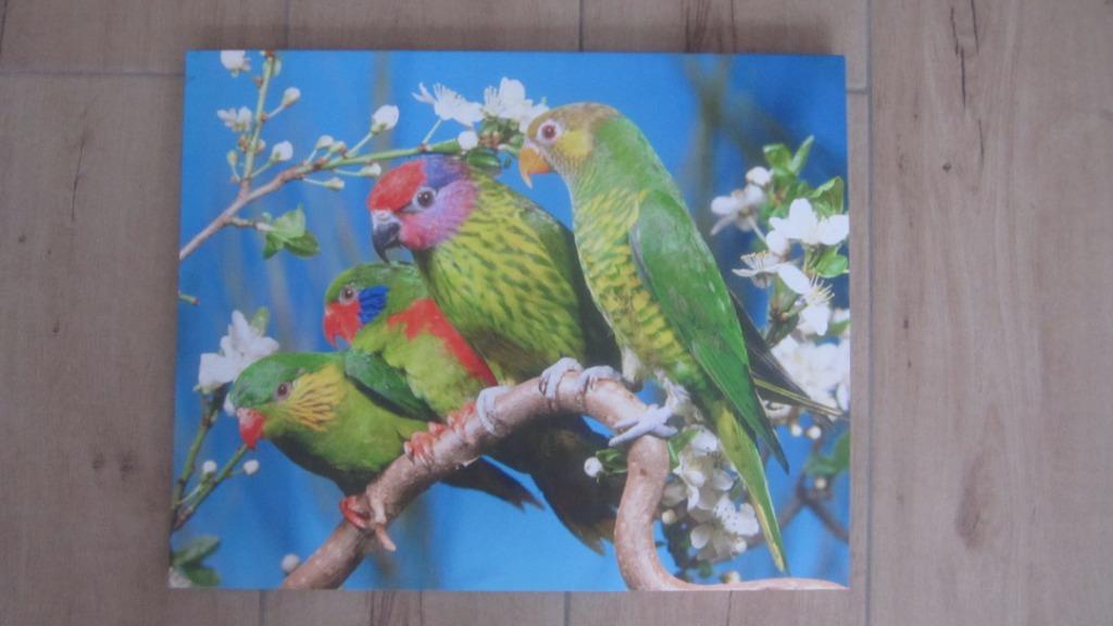PEINTURE SUR TOILE OISEAUX 50X40 CM, Enlèvement ou Envoi, Comme neuf, Peinture