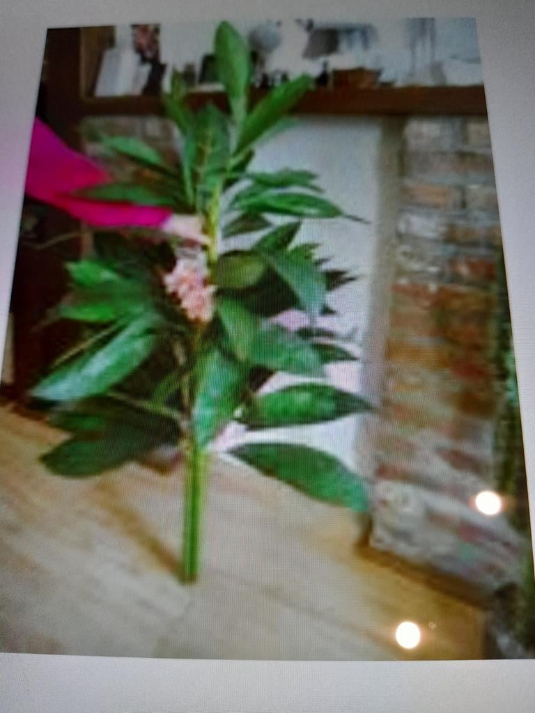 Plante verte en soie avec fleurs roses H 140/50 3 troncs, Maison & Meubles, Enlèvement ou Envoi, Neuf, Intérieur