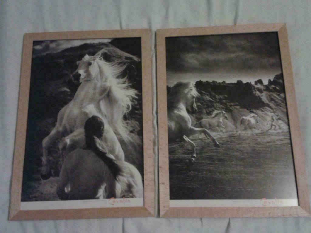 Natuur(lijke) kaders - paarden, Ophalen of Verzenden, Zo goed als nieuw, Foto of Poster