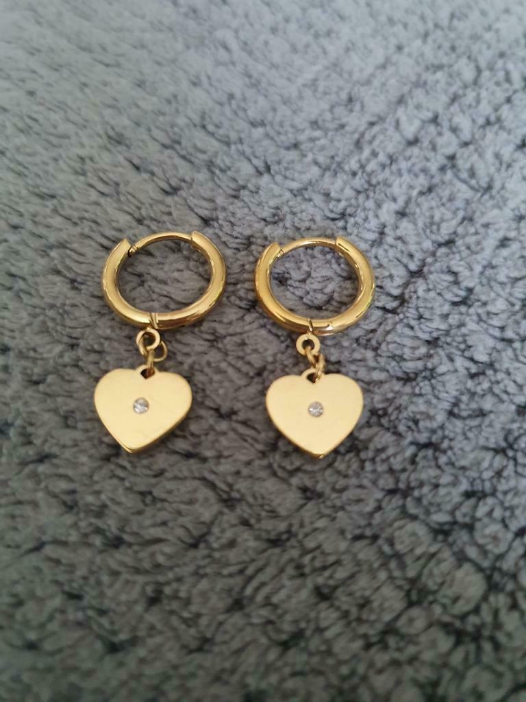 Nieuwe oorbellen in edelstaal, Met kristal, Hangers, Nieuw, Ophalen of Verzenden