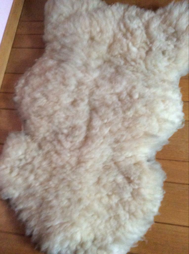 peau de mouton, Enlèvement, Comme neuf
