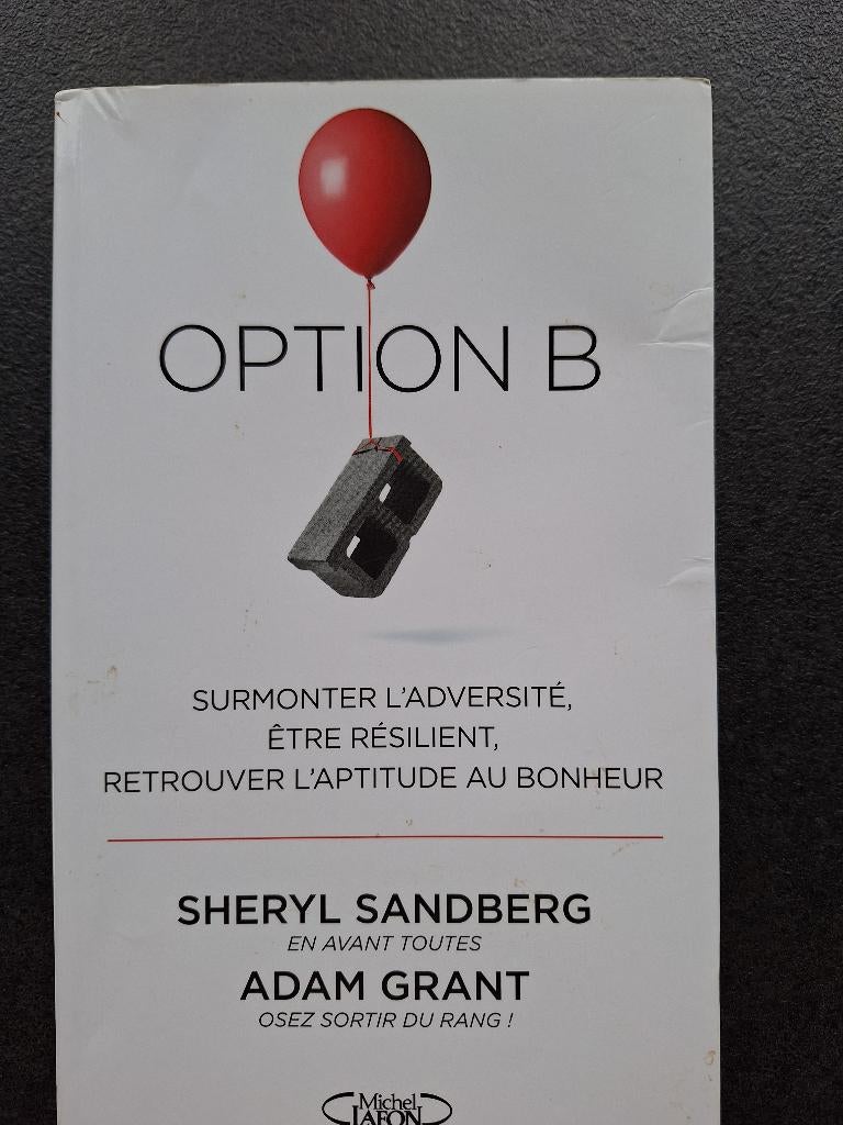 Option B - supporter l'adversité, être résilient, retrouver, Utilisé, Collectif, Psychologie de la personnalité, Enlèvement ou Envoi