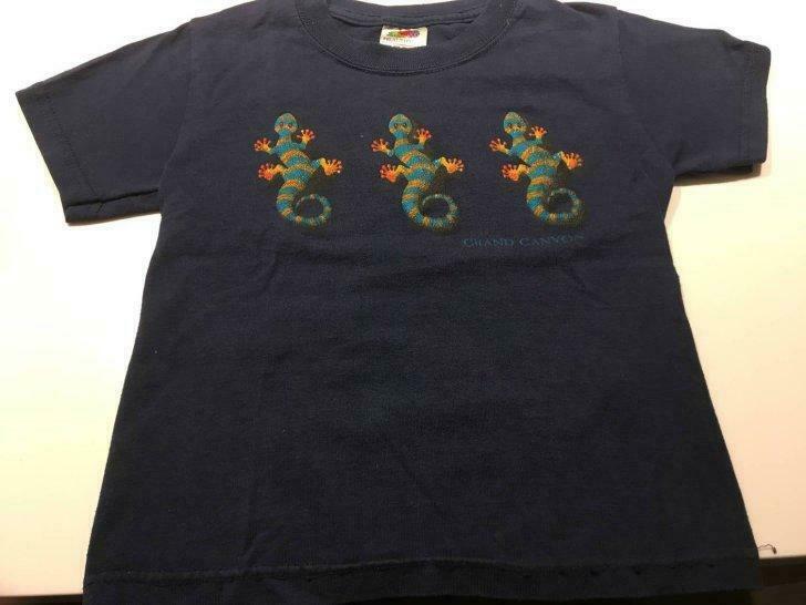 Tee-shirt 2 ans, Enlèvement ou Envoi, Utilisé, Garçon ou Fille