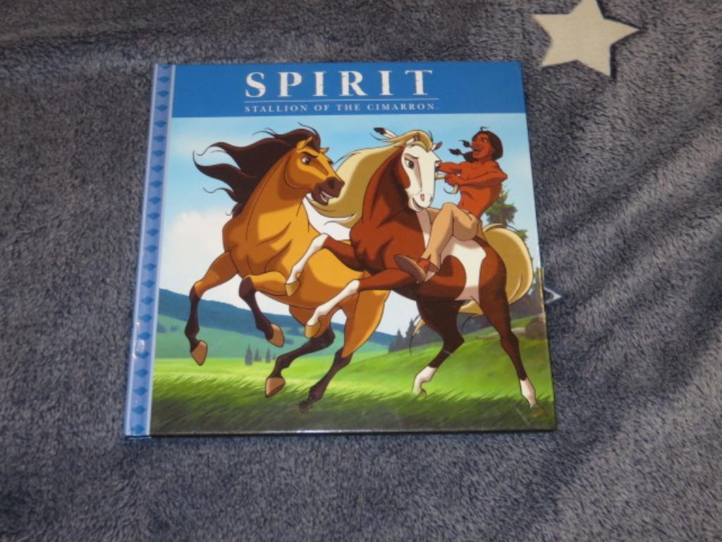 Leesboek: Spirit: Stallion of the Cimarron - Boek, Enlèvement ou Envoi, Comme neuf